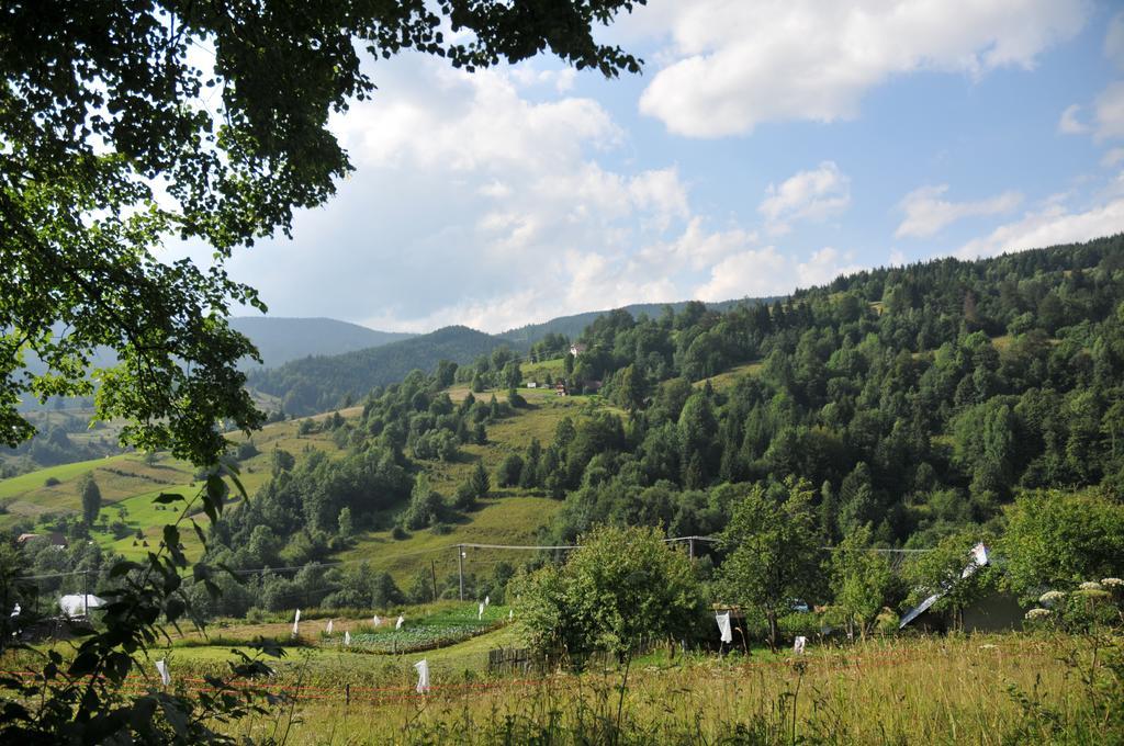 Drevenicka 110 Villa Zázrivá Kültér fotó
