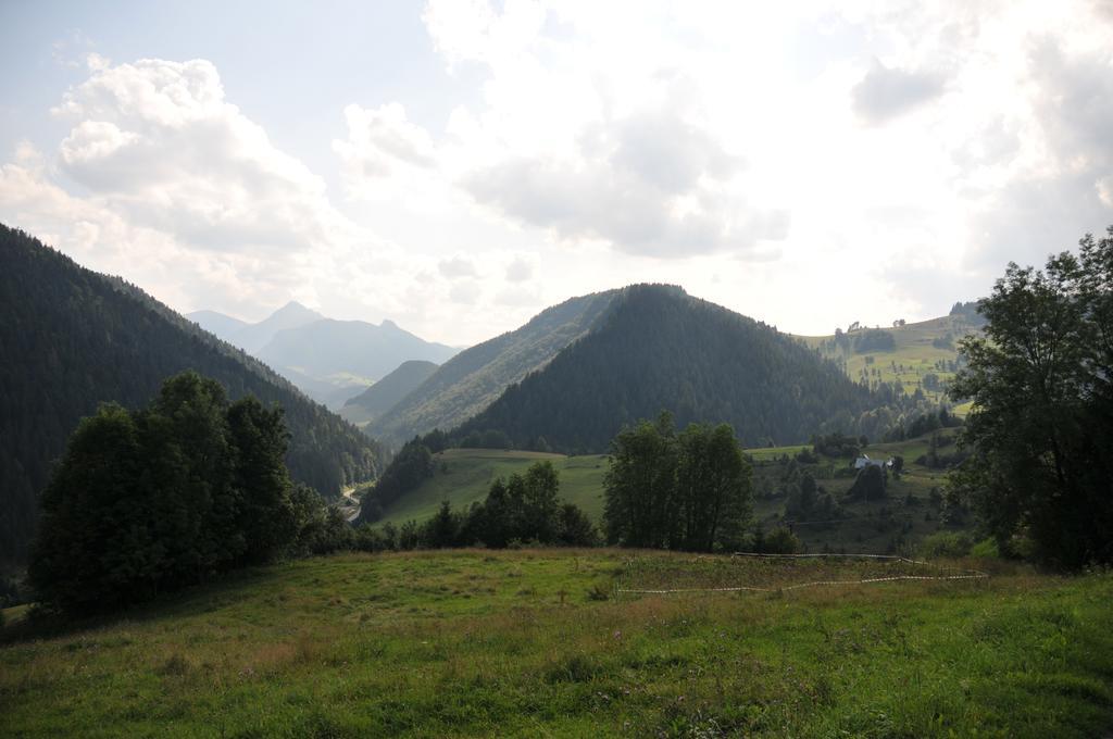 Drevenicka 110 Villa Zázrivá Kültér fotó