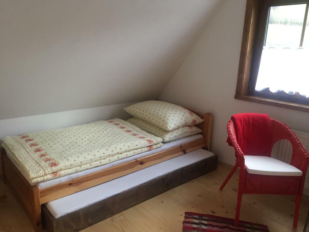 Drevenicka 110 Villa Zázrivá Kültér fotó